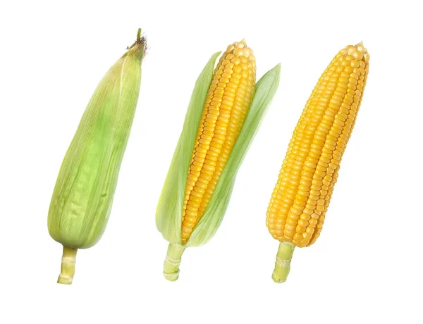 Set Sweet Corn Isolated White Background — 图库照片