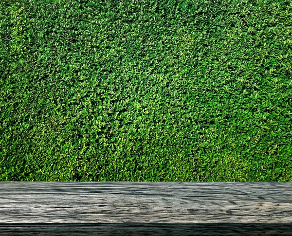 Empty Wooden Table Grass Wall Background Product Display — Zdjęcie stockowe