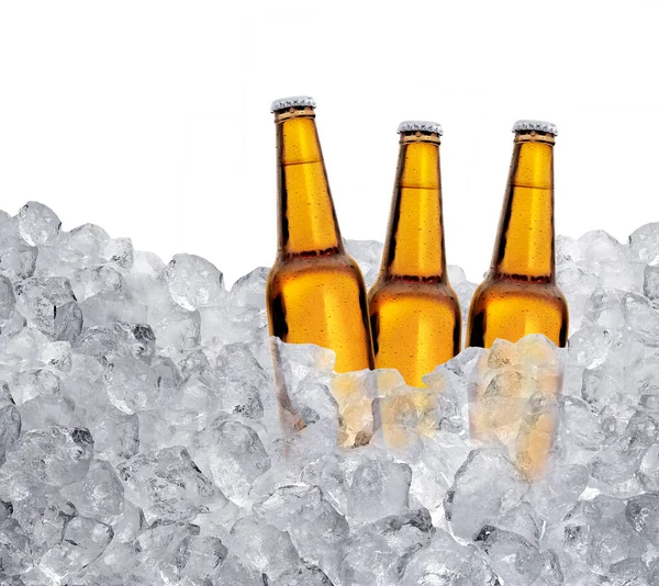 Three bottles of beer on ice cubes Isolated on white background