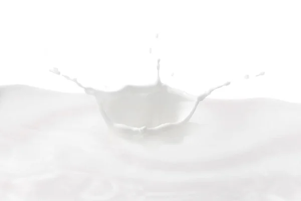 Mléčná Koruna Splash Stříkání Mléčném Bazénu Bílým Pozadím — Stock fotografie