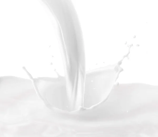 Splashing Milk White Background — Stock Photo, Image