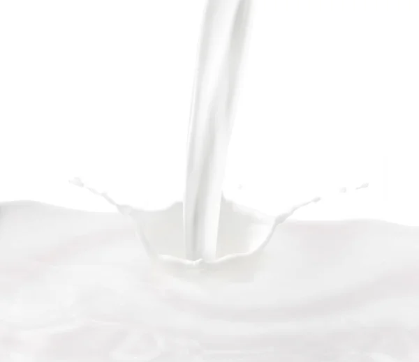 Beyaz Arka Planda Süt Sıçratma — Stok fotoğraf