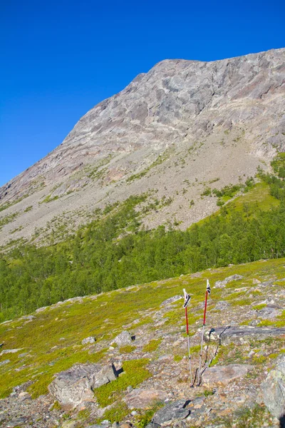 Pronti per un trekking — Foto Stock