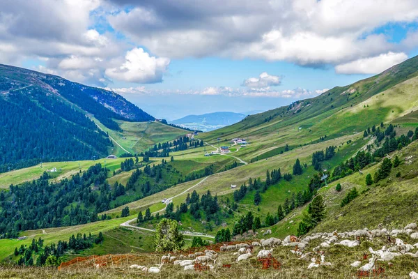 Amplio Panorama Pampeago 1760 Dolomiti Italia — Foto de Stock