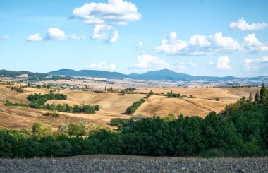 Toskana, İtalya. Ağustos 2020. Sınırları belirlemek için tipik yuvarlanan tepeler ve selvi ağaçları ile Toskana kırsalının şaşırtıcı manzarası.