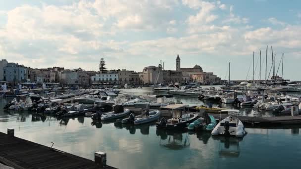 Trani Puglia Olaszország 2021 Augusztus Páneurópai Felvétel Kikötőről Balra Trani — Stock videók