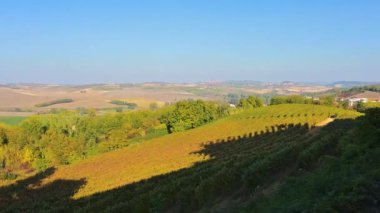 Montemagno, Piedmont, İtalya. Köyün tepesindeki kalenin duvarlarından Monferrato kırsalının muhteşem manzarasını gözlemliyoruz. Üzüm bağları tarlalarla dönüşümlü. Pov