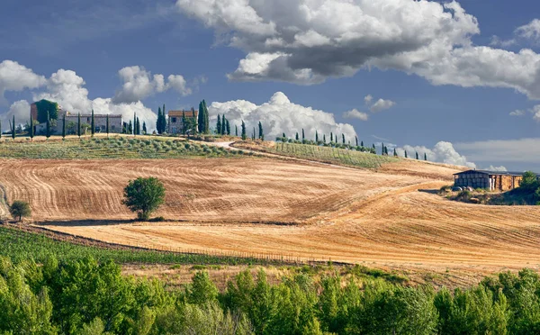 Val Orcia Tuscany Italy August 2020 Stunning Iconic Image Region — Stock Photo, Image