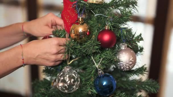 クリスマスツリーの準備です 中年の白人女性の手は木の枝に装飾を修正します ボールの上に映し出された息子は — ストック動画