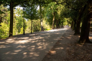 Lucca, Toskana, İtalya. Ağustos 2020. Savunma duvarları boyunca gezinen ağaçlarla kaplı caddenin güzel manzarası. Güzel bir yaz günü, bisiklete binen insanlar.