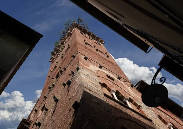 Λούκα Τοσκάνη Ιταλία Αύγουστος 2020 Καταπληκτική Θέα Του Πύργου Guinigi — Φωτογραφία Αρχείου