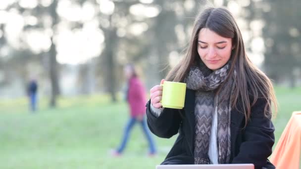 Retrato Una Joven Hermosa Mujer Trabajando Remotamente Parque Bebiendo Taza — Vídeo de stock