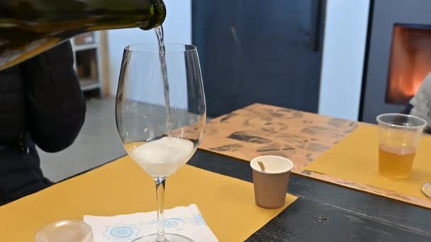 Bir Tadım Bardağına Köpüklü Şarabın Dökülüşünün Yavaş Çekim Görüntüleri Bardağın — Stok video