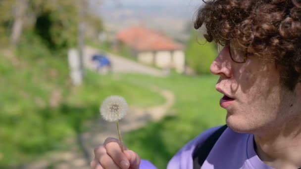 민들레를 날아가는 코카서스 소년의 움직임 씨앗을 날아가게 만들었습니다 조심성 꽃가루 — 비디오