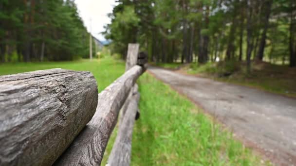 松林の真ん中の山道に沿って木製の柵の前景と概念的なイメージ 背景がぼやけている 自然への没入 レジャー リラクゼーションの概念 — ストック動画