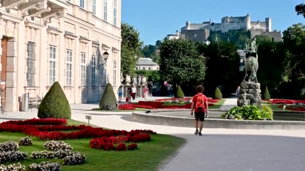 オーストリアのザルツブルク 2022年8月 ミラベル宮殿庭園の昼間の映像を魅了します 傾斜運動は 背景にホーエンザルツブルグ砦を強調しています — ストック動画