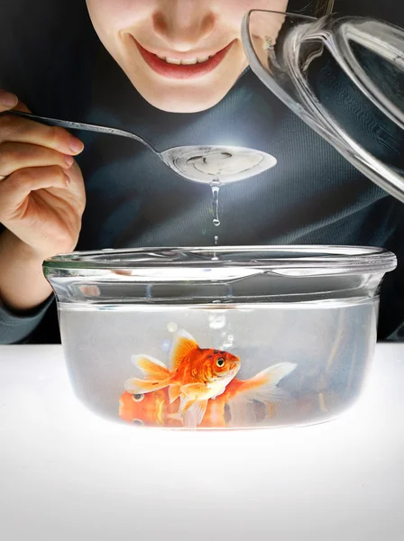 Japon balığı ile bir kase yukarıda güler yüz