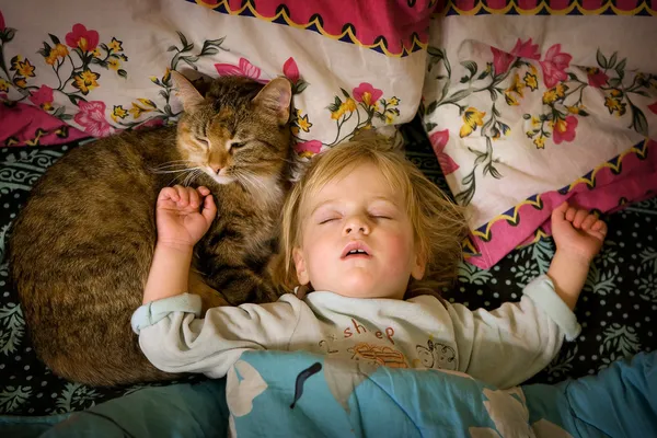 Bambina dorme sul letto con un gatto — Foto Stock