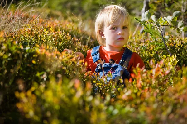 Child in forest — Stock Photo, Image