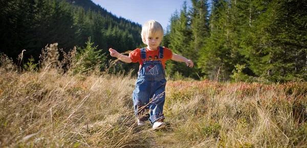 Kind im Wald — Stockfoto