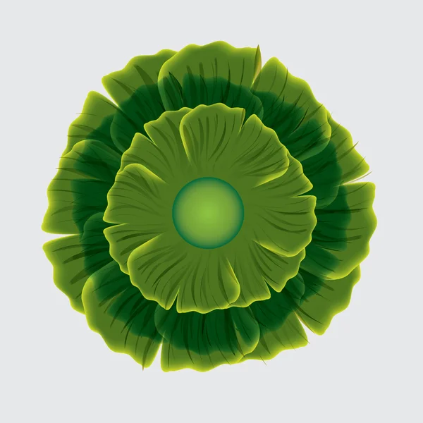 Abstraktní květina zelená na bílém pozadí. — Stockový vektor