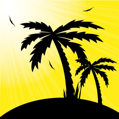 Yaz peyzaj whit çimen.