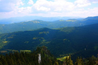 Alp dağ manzarası ile köknar ağacı