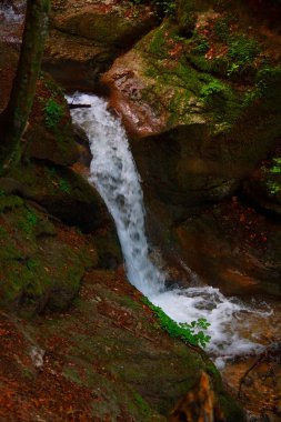 güzel dağ - manzara