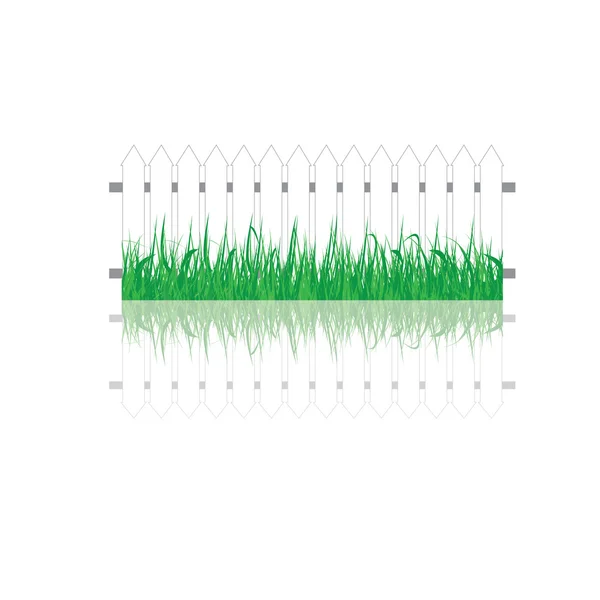 Zomer achtergrond . — Stockvector