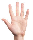 Hand is showing five fingers isolated