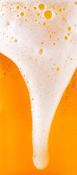 Frosty fresh beer with foam isolated — Stock Photo, Image