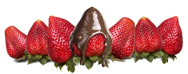 Strawberries and chocolate isolated — Stock Photo, Image