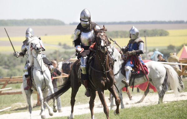 Рыцари Средневековья в бою
