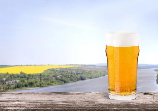 Frosty glass of light beer with summer scene background — Stock Photo, Image