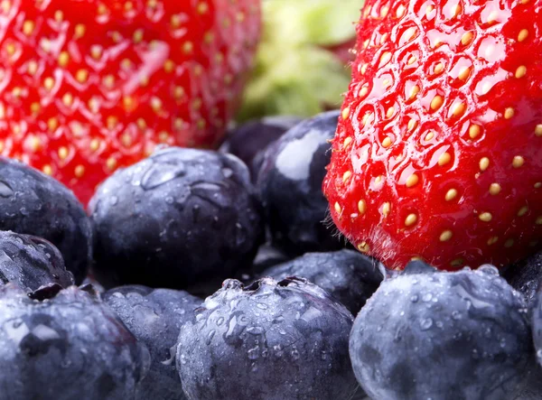 블루 berrie, 딸기 배경 — 스톡 사진