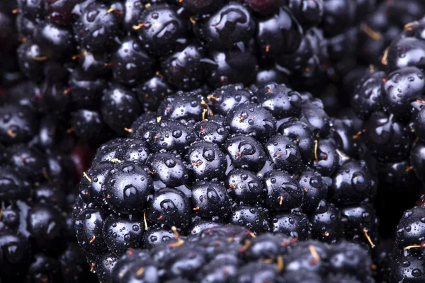 Frische reife Brombeeren mit Wassertropfen — Stockfoto