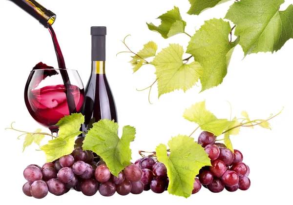 Uvas maduras, copa de vino y botella de vino — Foto de Stock