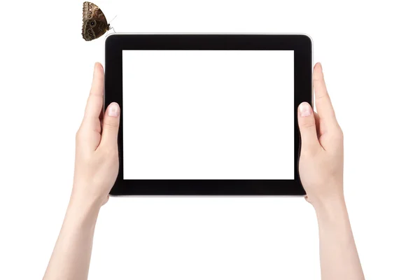 Рука тримає цифровий планшет з метеликом — стокове фото