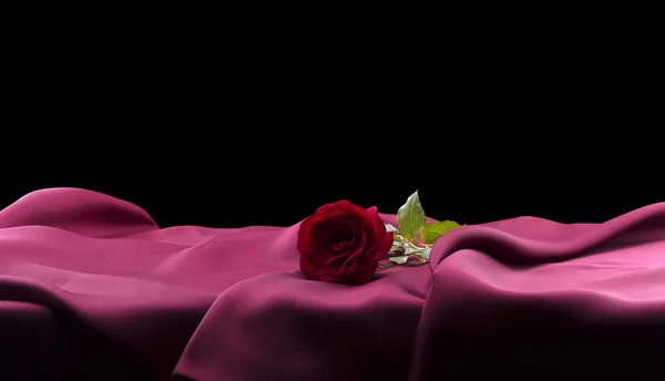 Schöne rote Rose auf Satin — Stockfoto