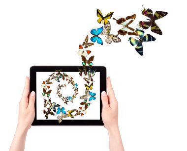 Butterfly flying out from tablet computer clipart