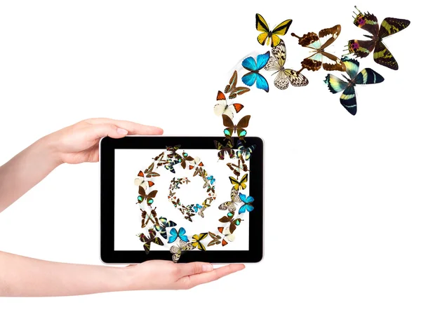 Butterfly vliegende uit tablet pc — Stockfoto
