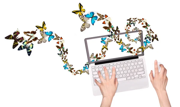 Butterfly flying out from computer — Stock Photo, Image