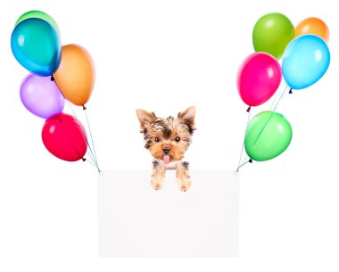 Balonlar ve köpek ile tatil afiş