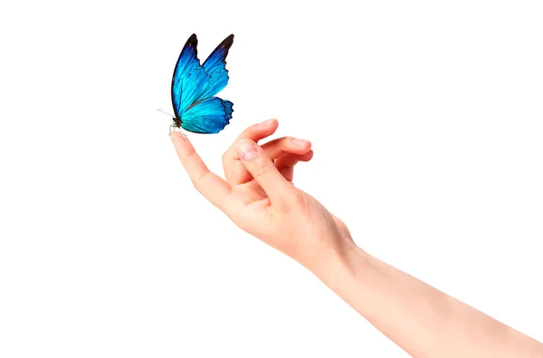 Butterfly on woman's hand. In motion — Stock Photo, Image