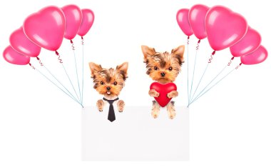 Balonlar ve köpek ile tatil afiş