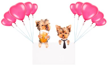 Balonlar ve köpek ile tatil afiş