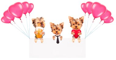 Balonlar ve köpek ile tatil afiş