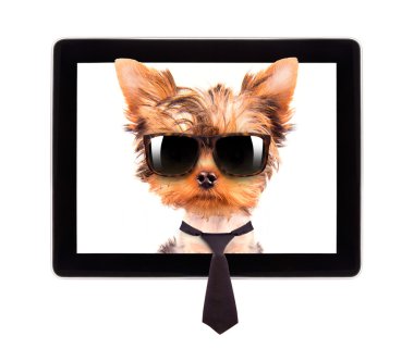 Dijital tablet ekranında iş köpeği