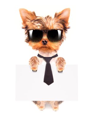 iş köpeği holding afiş
