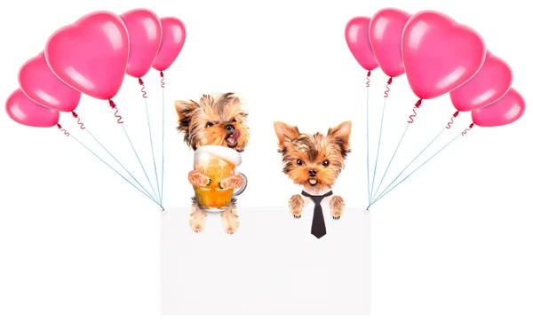 Holiday banners with balloons and dog — Stock Photo, Image